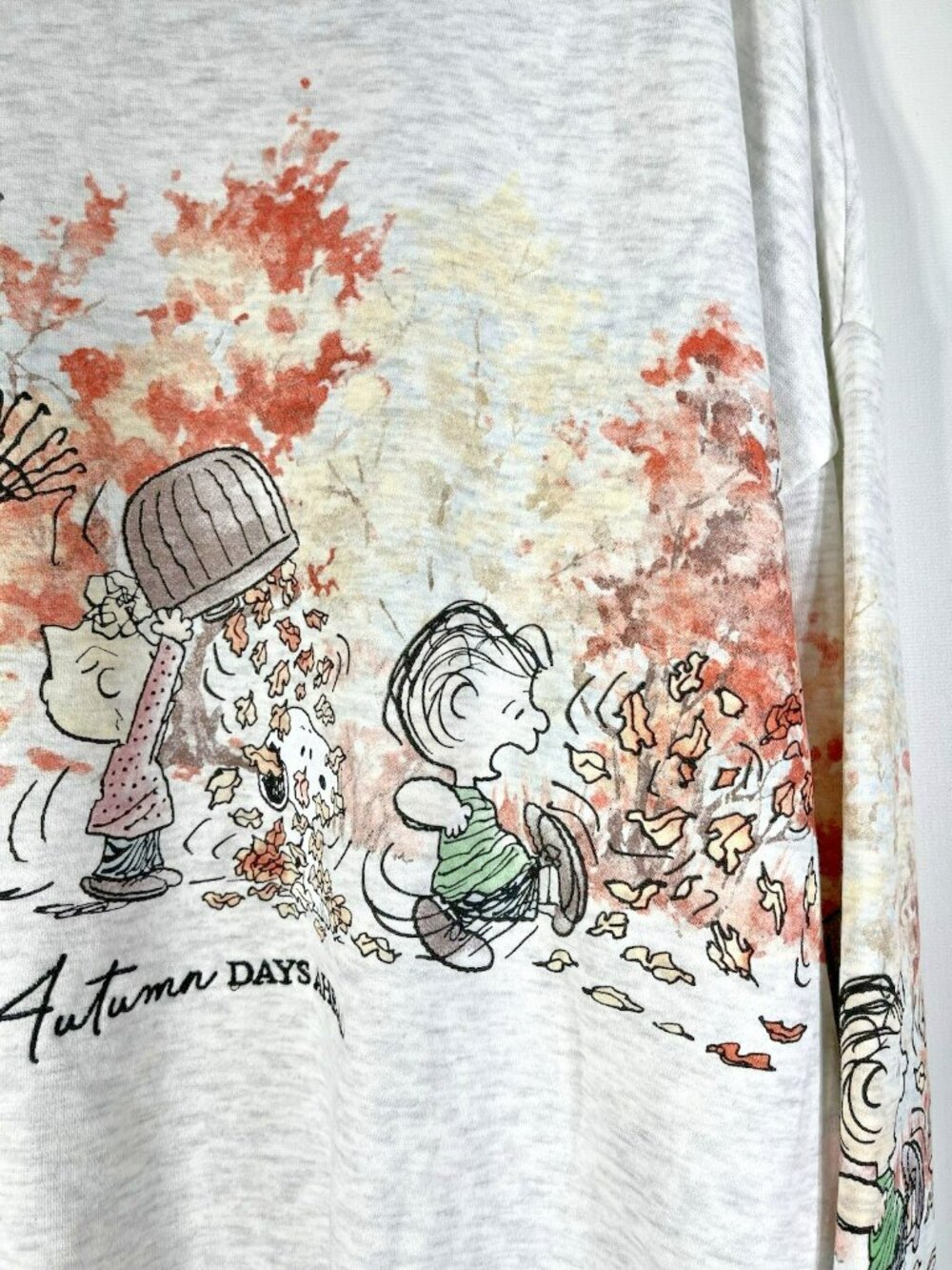 Peanuts Gang Snoopy And Friends Womens Large Autumn Days Ahead Sweatshirt - Picture 8 of 16